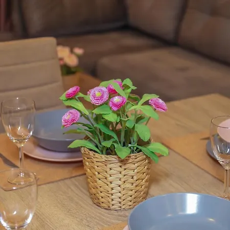 公寓 Chrissomallis *