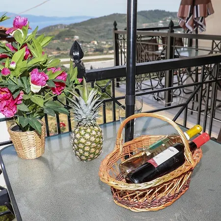 公寓 Chrissomallis