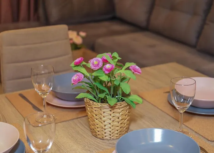 公寓 Chrissomallis *