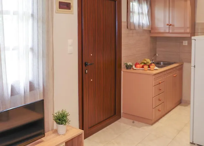 公寓 Chrissomallis